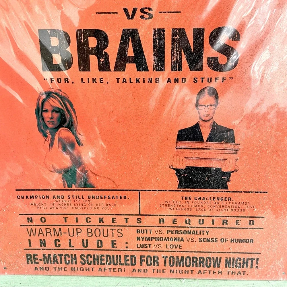 NEW Big Boobs vs Brains Metal Sign